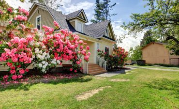 Options Are Improving For First Time Buyers