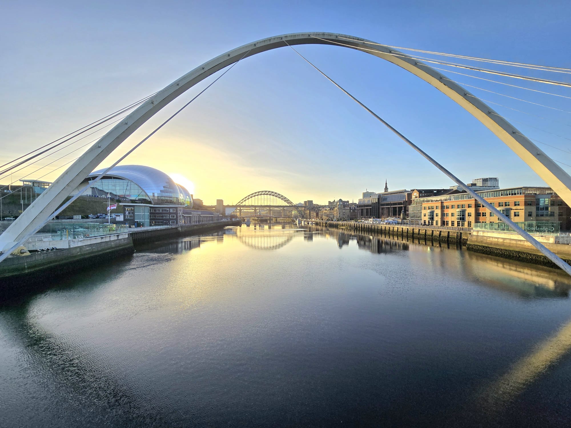 They only sell your property?